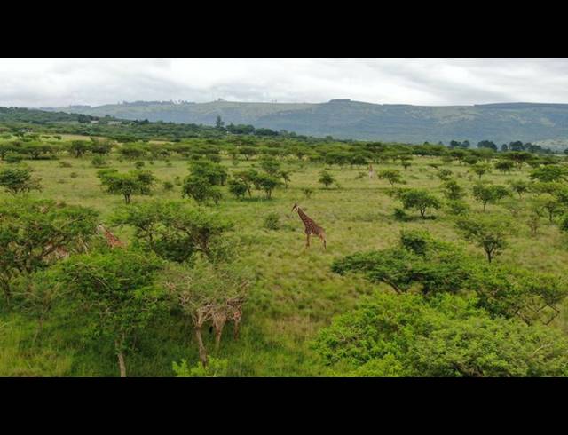 LAND FOR SALE IN ALBERT FALLS